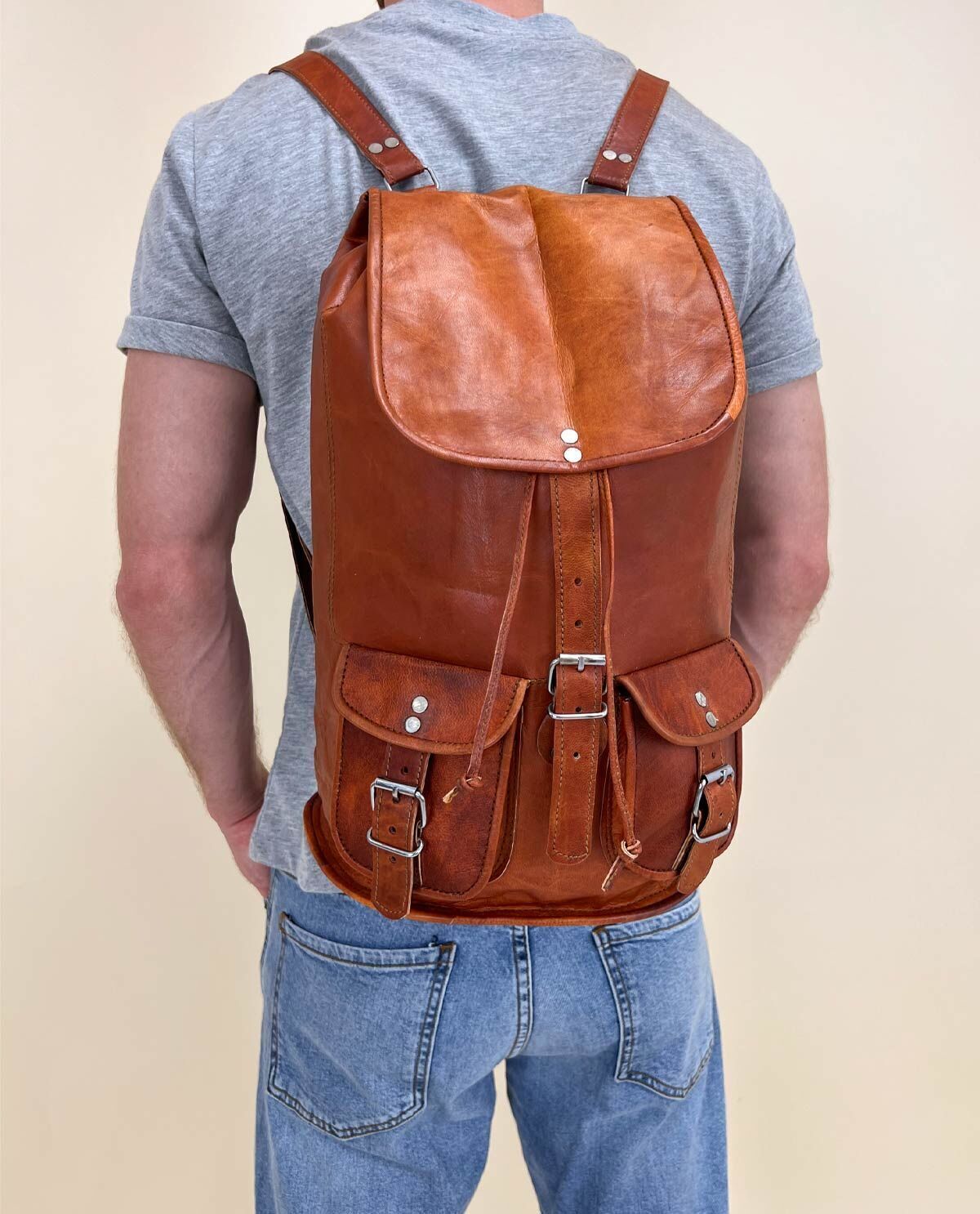 Louis model